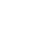 FEED
2017